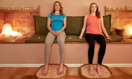 One, Three, Five, or Ten 55-Minute Salt Therapy Sessions at Cryology (Up to 63% Off)