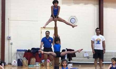 1 Month of Online Fitness or In-Person Mallakhamb (Yoga on Pole) from Mallakhamb Federation USA (Up to 25% Off)